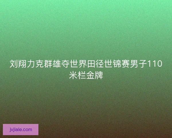 刘翔力克群雄夺世界田径世锦赛男子110米栏金牌